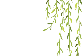 岁月从不败美人，也从不败三清山！图片