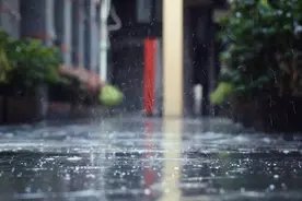 闷热潮湿三伏天，祛湿茯苓不可少图片