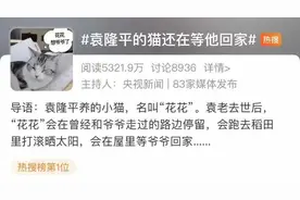 袁隆平的猫还在等他回家，网友看后破防了图片