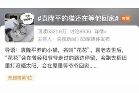 破大防了！袁隆平离开160多天后，这只猫猫还在等他回家……图片