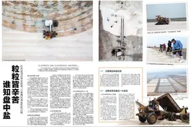 半岛聚焦丨谁知盘中盐，粒粒皆辛苦！晒一年产一次，青岛这里260公亩大颗粒盐开采图片