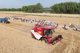 观澜｜拖垃机带北斗导航，潍柴雷沃新技术获国家大奖意味着什么图片