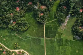 污水处理中pH值与碱度有什么关系？图片