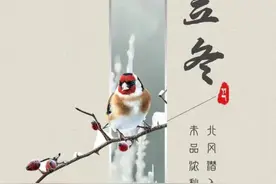 你准备怎样迎接这个冬天？图片