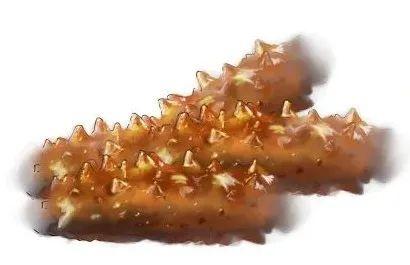 燕窝 花胶和海参各自区别 燕窝 花胶和海参各自区别在哪