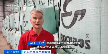 南非三宝之一，富含抗氧化物质！“路易波士茶”探路中国市场啦