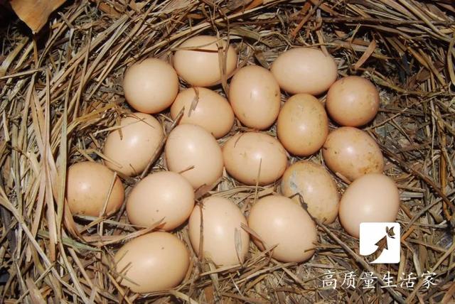 鸡蛋这样放冰箱，秒变毒蛋！10 个鸡蛋小知识一次说清，第一条就很有用