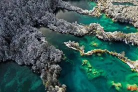 11月16日起，九寨沟实行淡季票价：门票80元/人图片