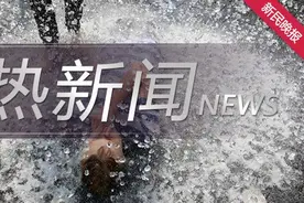 《夏日宠物降温指南》：狗睡冰垫降温，猫躺“冷锅”度暑图片