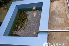 贵州高速污水处理技术试点成功 生活污水净化后可养鱼图片