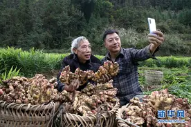 走进乡村看小康｜“姜王”有个乡村振兴梦图片