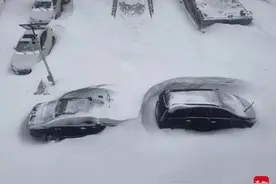 暴雪突袭内蒙古通辽：牲畜受困，种植户划开棚顶弃菜保大棚图片