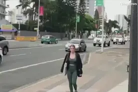 澳大利亚3只乌鸦频频飞扑吓唬路人 专家：建议人们绕道而行图片