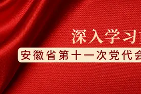 学习贯彻省第十一次党代会精神⑤｜建设更高水平的法治安徽、平安安徽图片