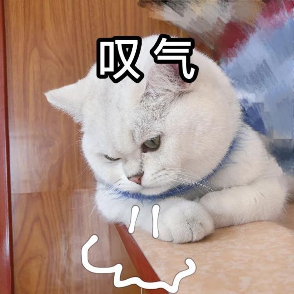 这个曾经超火的功能“下线”了？腾讯紧急回应