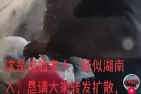 女子刷短视频，意外发现失联5年的哥哥！来到佛山后泪奔图片