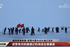 内蒙古及东北部分地区积雪深度打破历史纪录 子弟兵迅速出动帮助群众恢复生产生活图片