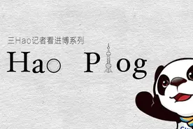 新华全媒+｜Plog：进博会上不一样的“11.11”视频封面