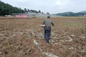 重大利好！四川种粮大户补贴亩均涨2倍图片