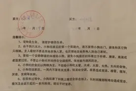 消费曝光台丨深圳多名消费者称买到“星期宠”联合起诉宠物店图片