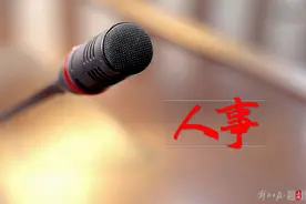 刚完成党委换届的四省份，多个新晋党委常委的职务已明确图片