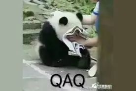 投资受害群的群友突然说：可以拿回钱了！结果又被骗了图片