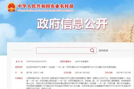 全国示范村镇、十亿元镇、亿元村……最新榜单发布！湖南这些地方上榜图片