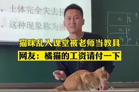 猫咪乱入课堂被老师当教具授课 网友调侃：把工资付一下视频封面