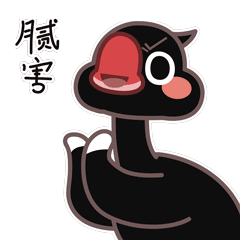 小斗湖鱼胶怎么样 2026年小斗湖鱼胶是合成胶吗