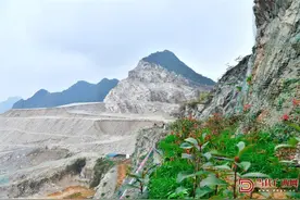 废弃矿山“蝶变”赋春归——贵港市覃塘区黄练峡矿区修复整治侧记图片