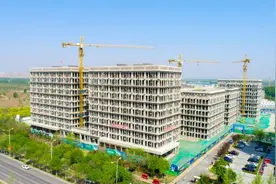 河北大厂县：促进经济社会全面发展进步图片