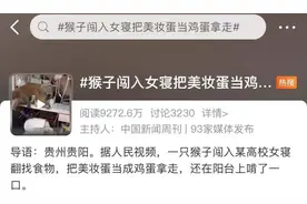 猴子闯进高校宿舍偷美妆蛋？网友评论亮了图片