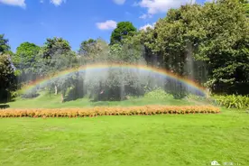 相约兰园｜和喜欢的人一起来看彩虹哦！图片