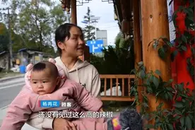 生命真顽强！饭店水泥地面长出近3米高的“辣椒树”图片