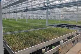 比学赶超 争创一流｜济南济阳区将建设中国广电数据传输存储北方节点 带动就业4000余人图片