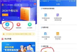 拍沪牌需要个人所得税纳税记录，如何查询打印？图片