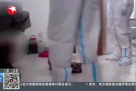 江西上饶：“宠物狗在家被扑杀”引发热议  官方回应：涉事工作人员被批评、调岗、责令道歉视频封面
