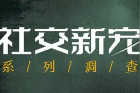 密室逃脱之“困”：恐怖主题下被电击棒追逐的玩家与多重隐患图片