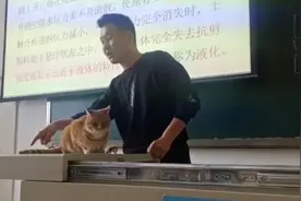 老师将乱入课堂的橘猫当“教具”：用它尾巴摆动教鞭梢效应视频封面