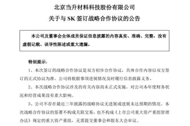 当升科技携手韩国电池龙头SK，发展正极材料业务图片