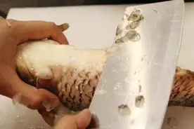 被鱼刺扎一下，长沙男子紧急送医！医生：这种鱼刺6根可致死图片