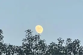望月怀远图片
