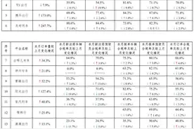 下半年网约车订单量暴涨 行业第二梯队强势崛起图片