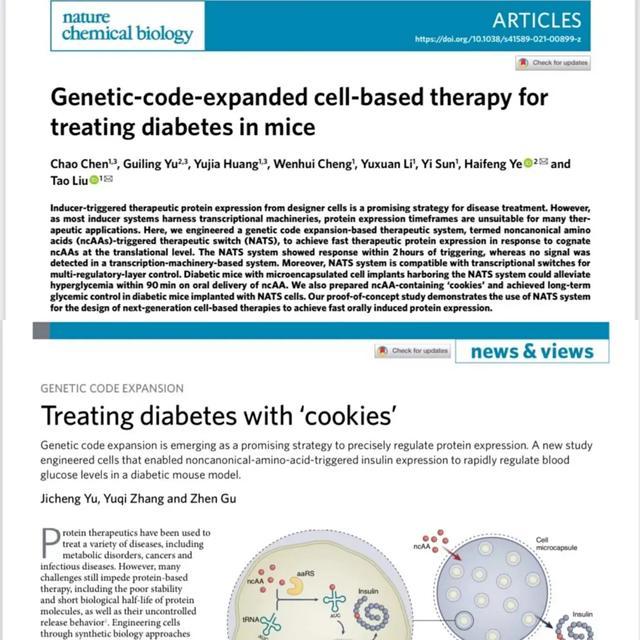吃饼干治糖尿病？新研究让口服胰岛素成为可能