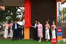 海南省文化艺术学校加挂“海南省芭蕾舞蹈学校”牌子图片