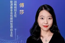 专家预计：电力行业低碳转型预计到2050年减少用煤21亿吨图片