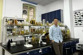 张弛老师，真赞！图片