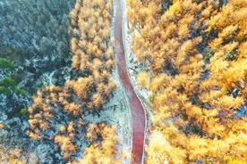 初冬四川：半山红叶半山雪图片