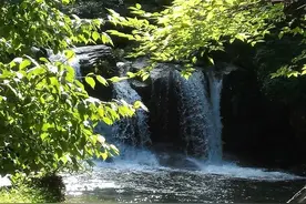 我跟老公那些趣事儿图片