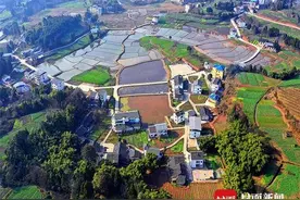 “跟着党支部，奔康有门路”四川西充跳蹬河村农民专业合作社入选全国农民合作社典型案例图片